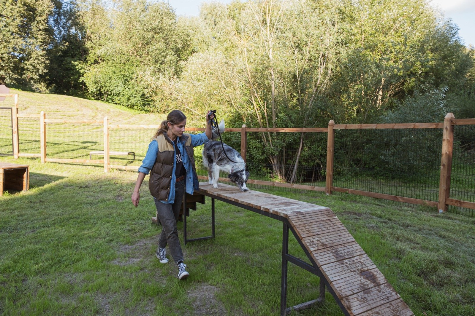 Šunų dresavimo ir vedžiojimo aikštelė Jaunimo parke — nuotrauka 2