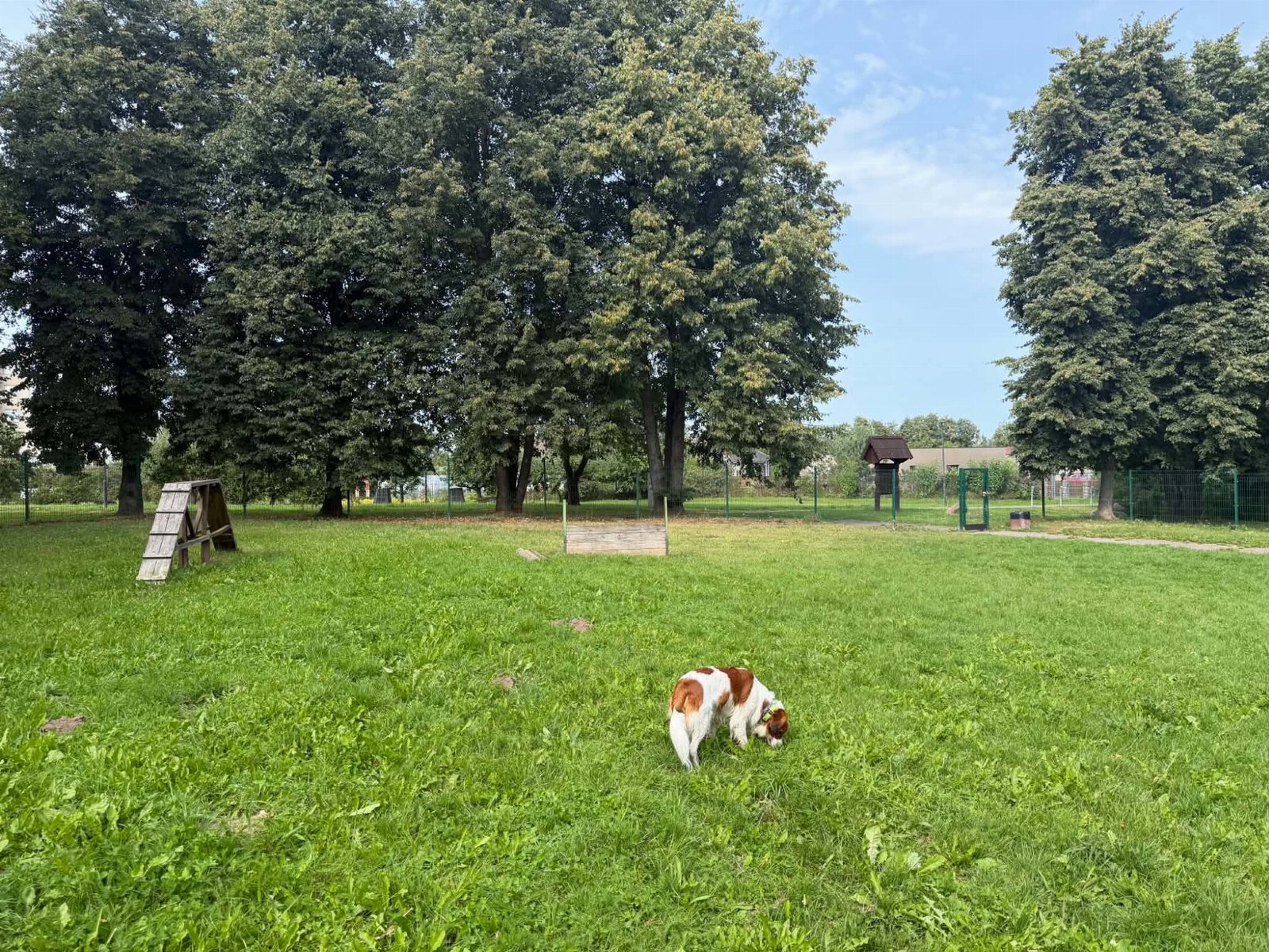 Šunų vedžiojimo aikštelė prie Žiedų g. — nuotrauka 1