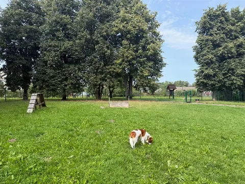 Šunų vedžiojimo aikštelė prie Žiedų g., Biržai