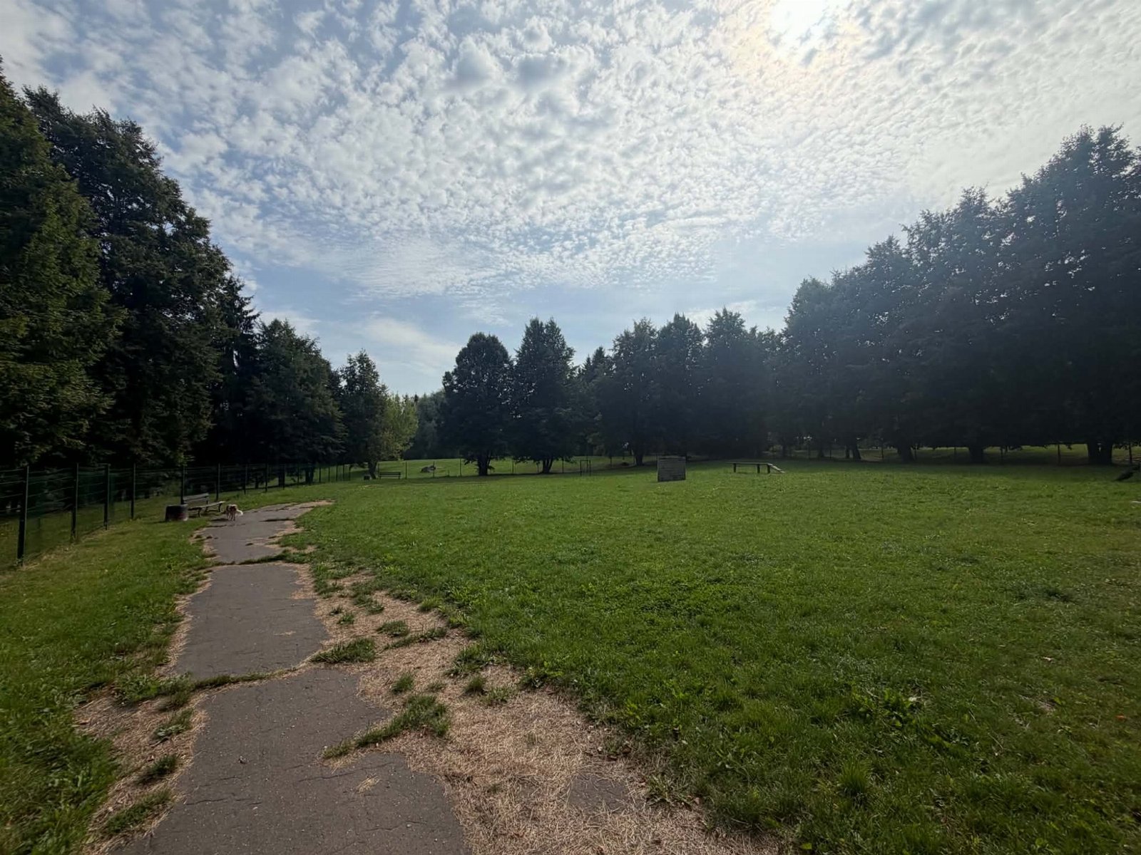 Šunų vedžiojimo aikštelė prie Žiedų g. — nuotrauka 2