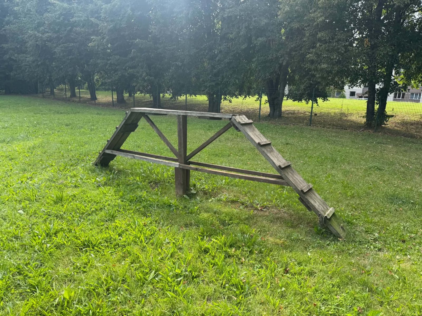 Šunų vedžiojimo aikštelė prie Žiedų g. — nuotrauka 5