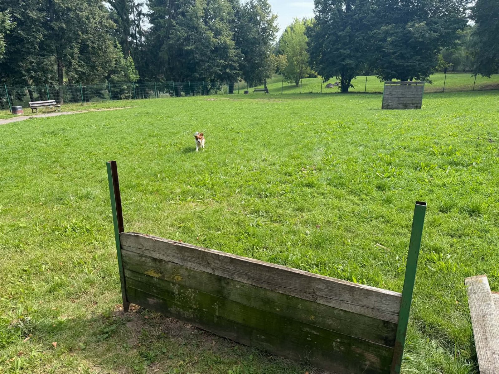 Šunų vedžiojimo aikštelė prie Žiedų g. — nuotrauka 6