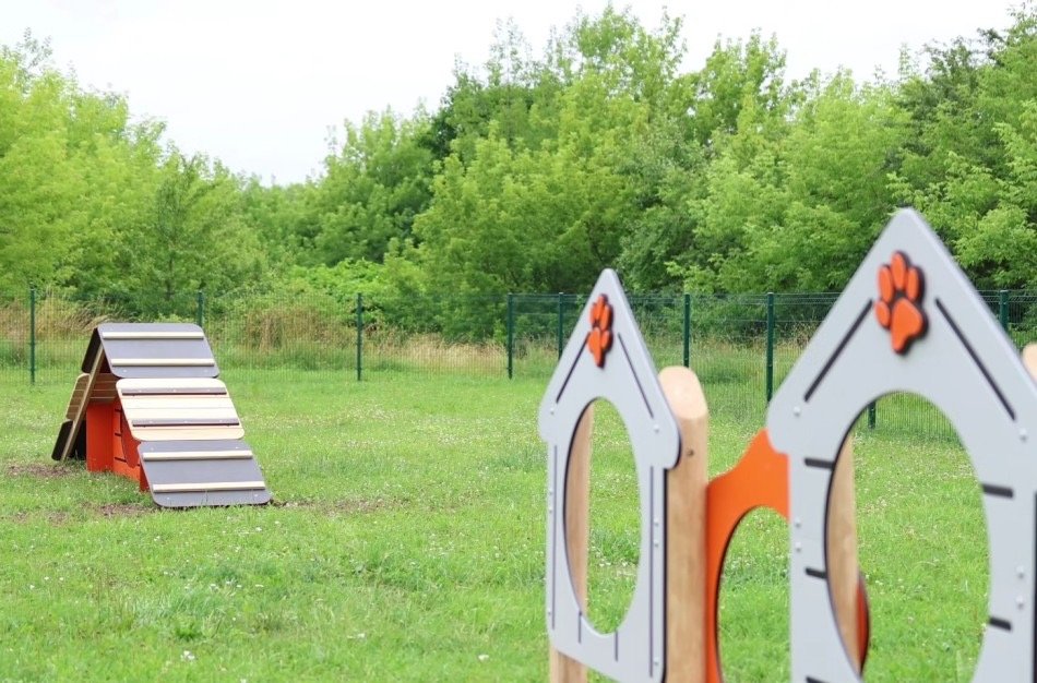 Šunų dresūros aikštelė Kauno gatvėje — nuotrauka 2