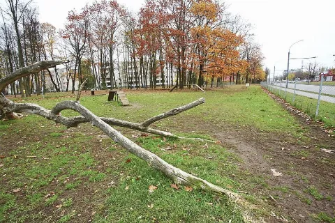 Dainavos parko šunų vedžiojimo aikštelė, Kaunas