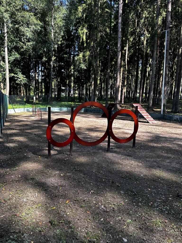 Kazlų Rūdos šunų vedžiojimo aikštelė — nuotrauka 3