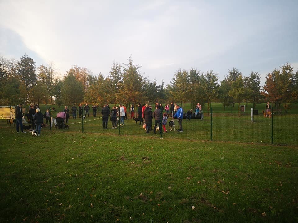 Kretingos šunų vedžiojimo ir dresavimo aikštelė — nuotrauka 3