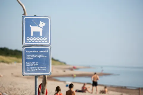 Nemirsetos šunų paplūdimys, Palanga