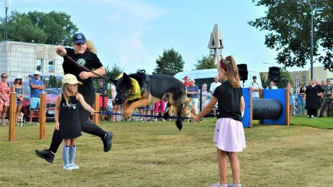 Šunų vedžiojimo ir dresavimo aikštelė prie „Rimi“, Palanga