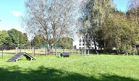 Šunų alėja, Plungė