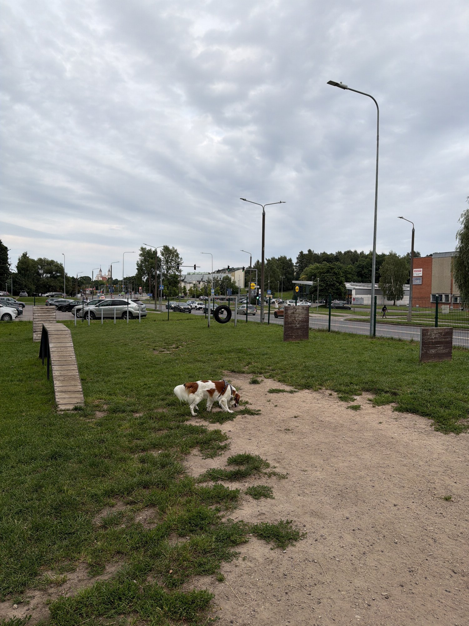 Ateities g. šunų dresūros aikštelė (Verkiai) — nuotrauka 4