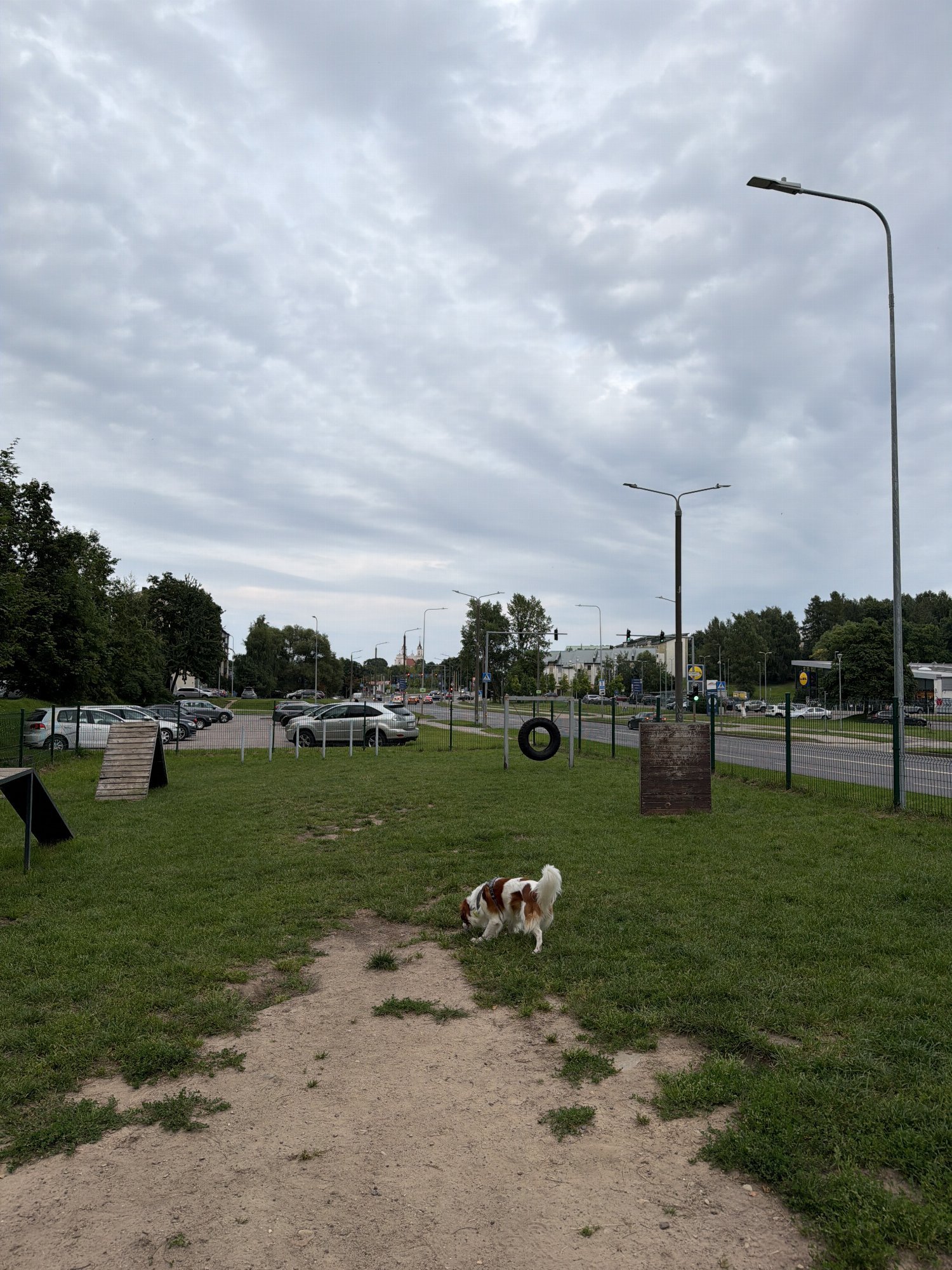 Ateities g. šunų dresūros aikštelė (Verkiai) — nuotrauka 5
