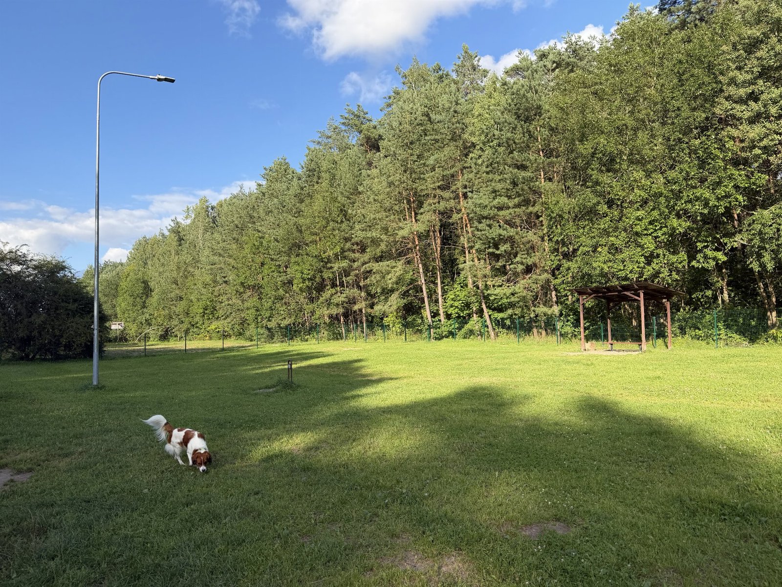 Lazdynėlių g. šunų vedžiojimo aikštelė — nuotrauka 1