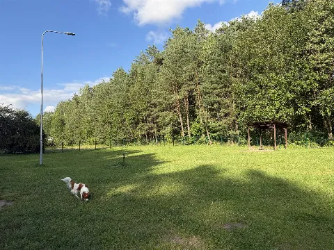 Lazdynėlių g. šunų vedžiojimo aikštelė, Vilnius