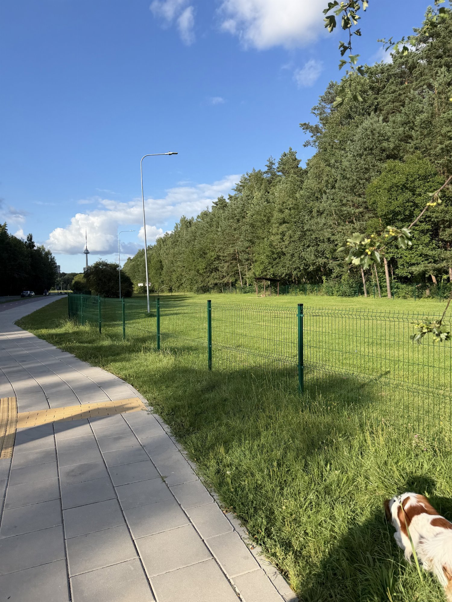 Lazdynėlių g. šunų vedžiojimo aikštelė — nuotrauka 2