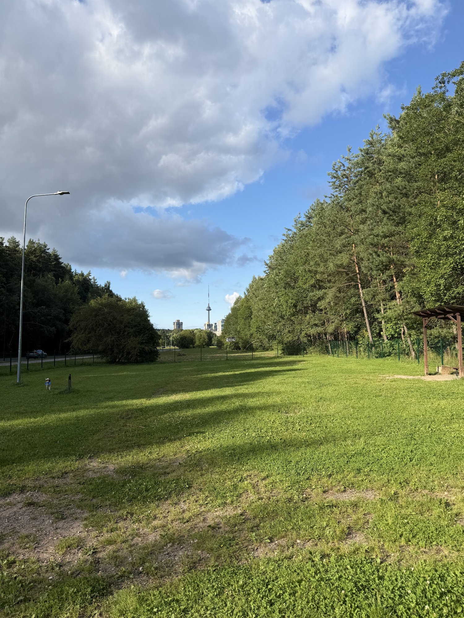 Lazdynėlių g. šunų vedžiojimo aikštelė — nuotrauka 3