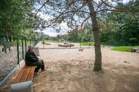 Medeinos g. šunų vedžiojimo ir dresūros aikštelė, Vilnius