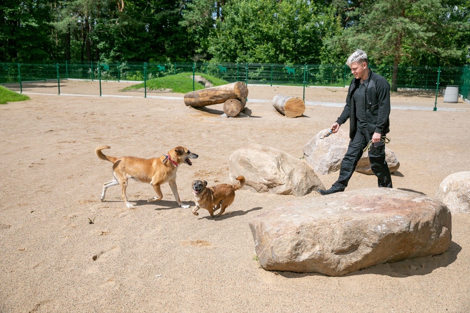 Medeinos g. šunų vedžiojimo ir dresūros aikštelė — nuotrauka 2
