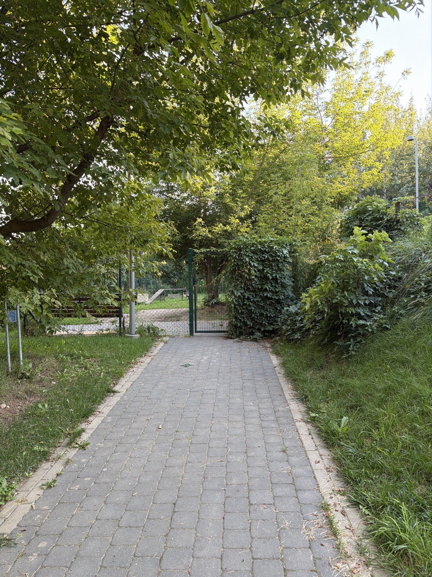 Neries senvagės parko šunų vedžiojimo aikštelė — nuotrauka 2