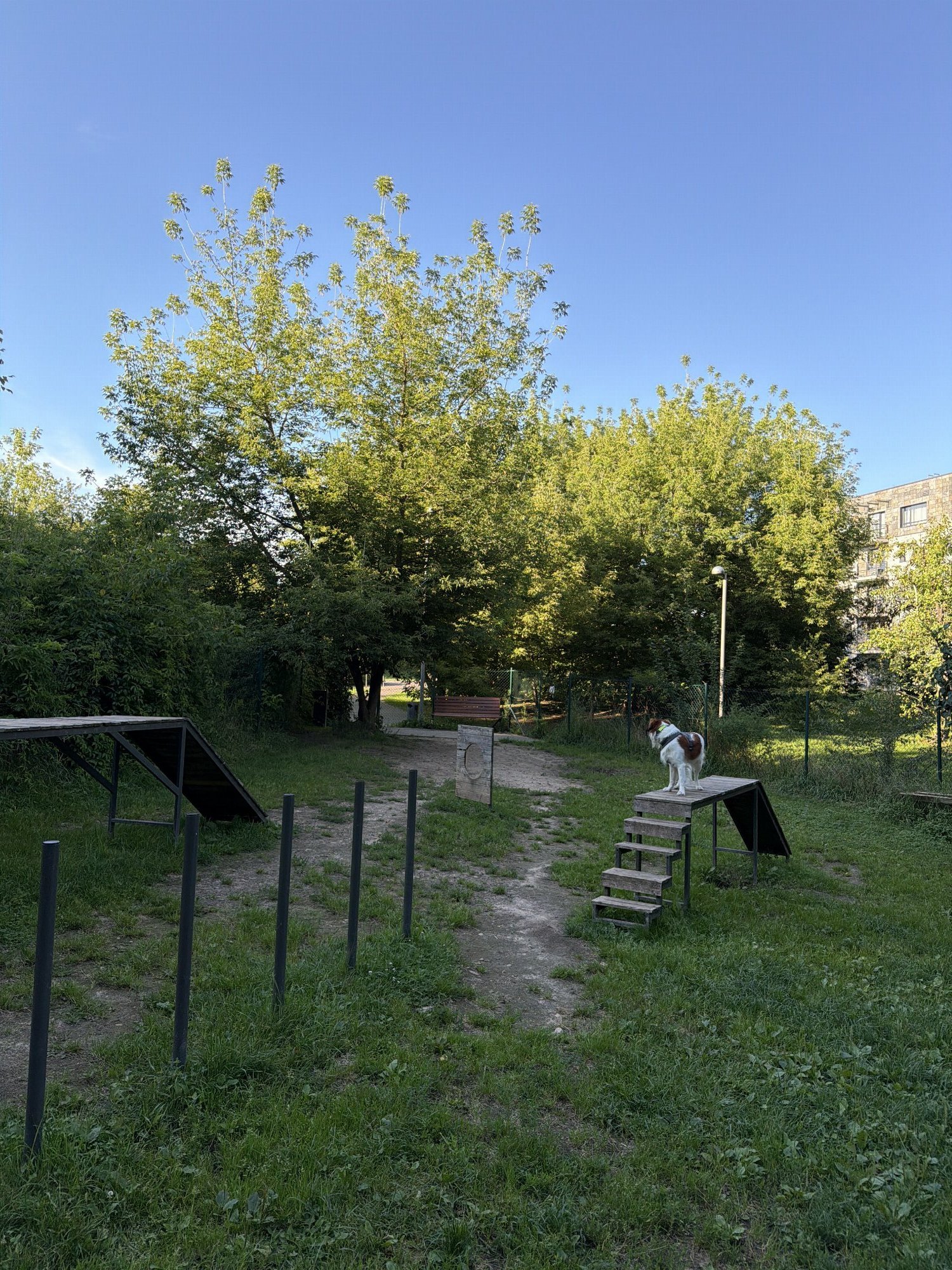 Neries senvagės parko šunų vedžiojimo aikštelė — nuotrauka 3