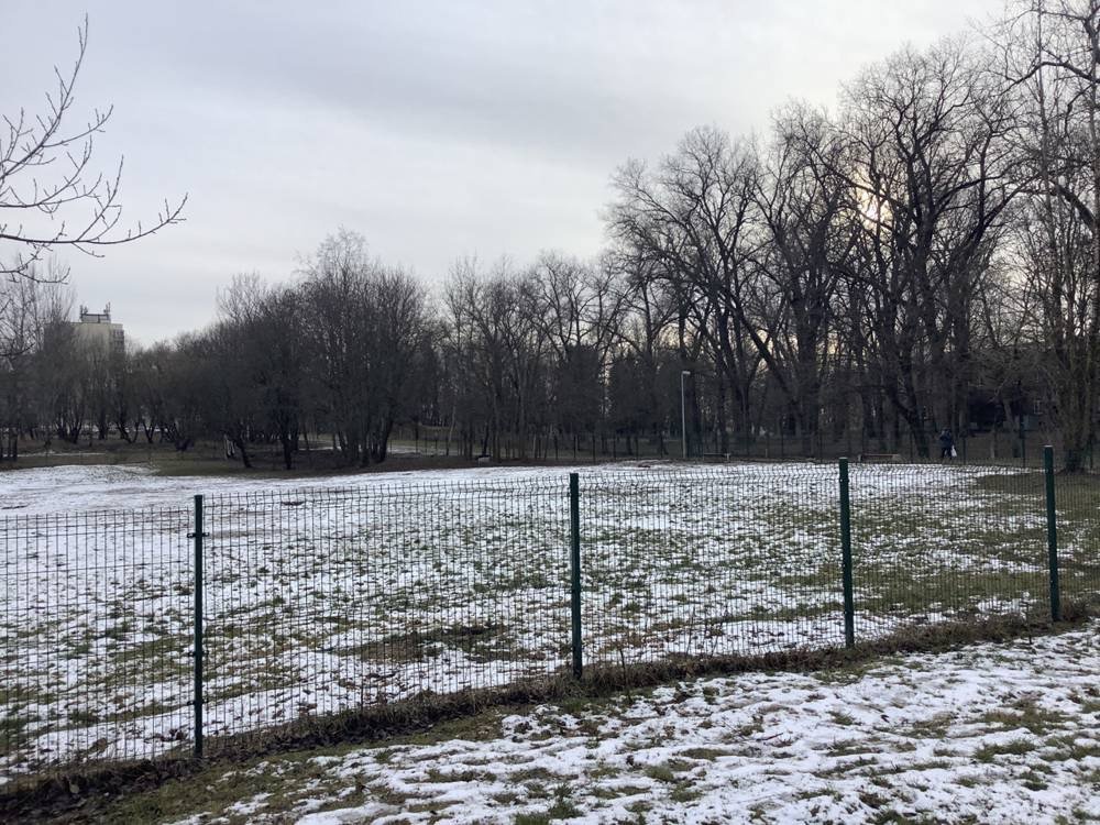 Parko g. šunų vedžiojimo aikštelė — nuotrauka 1